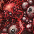 0113666 thumbnail