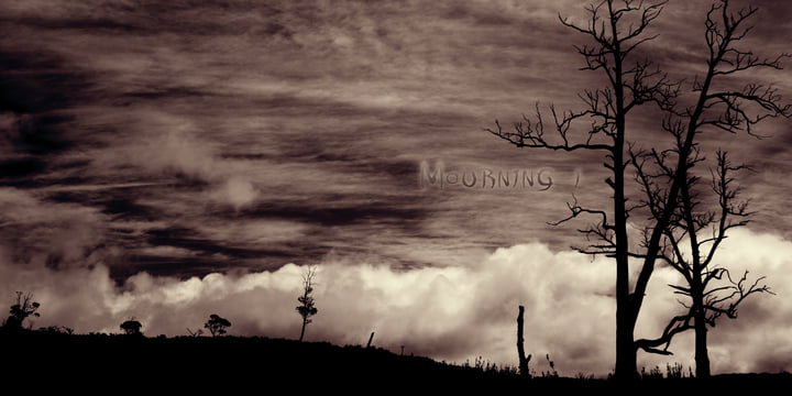 Mourning I | Lost In Desolation