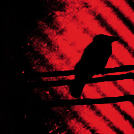 Born Into Trouble As The Sparks Fly Upward | The Silver Mt. Zion