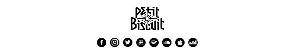 Petit Biscuit — Photo