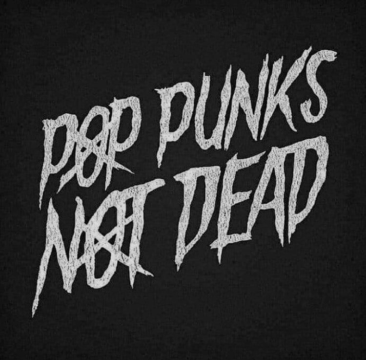 Liar Liar Plants For Hire Clementine Tell All Your Friends Pop Punk S Not Dead Liar Liar Plants For Hire Clementine Tell All Your Friends Pop Punk S Not Dead