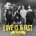 Love is a Fist image