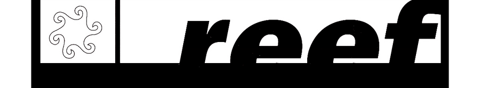 Reef — Photo