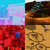 swords-and-roses thumbnail
