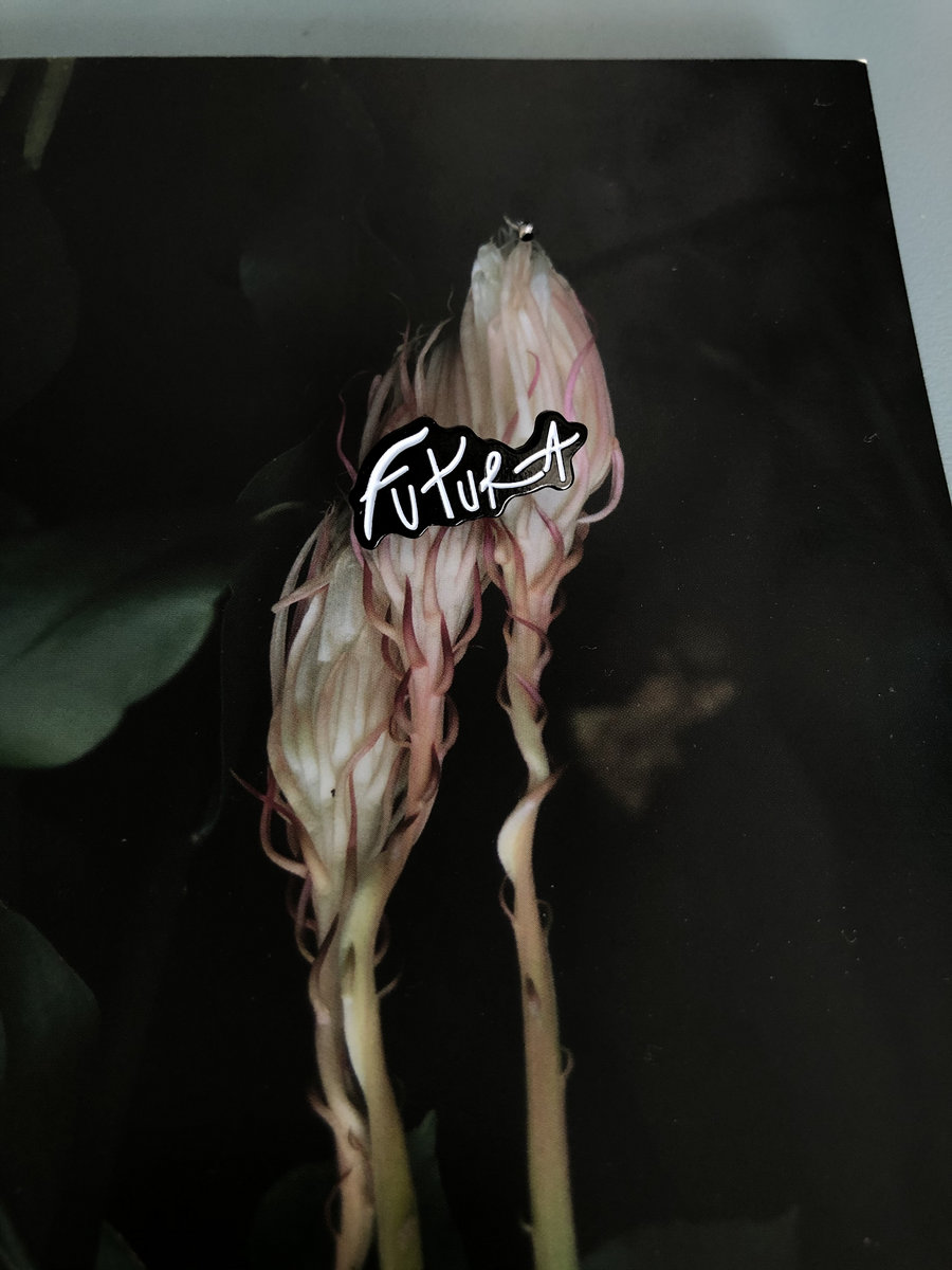 Pink Floyd The Wall Flower Scene Meaning