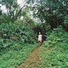 Angophora – Scenes Angophora – Scenes – Vinyl (LP), 2018 [r11548819] | Discogs