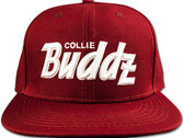 Collie Buddz - Maroon 'Buddz' Snapback photo 