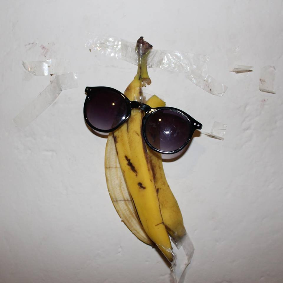 Trout Fishing in America | Iggy The Eskimo