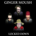Ginger Moush image