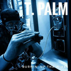 tyler palmquist thumbnail