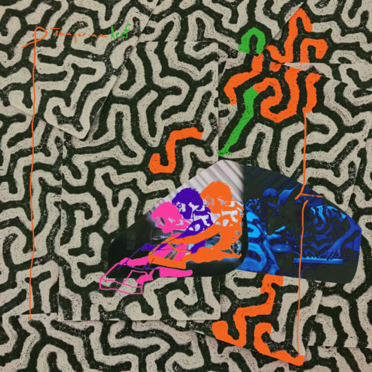 Animal Collective - Isn't It Now, 2x Orange Vinyl LP Animal Collective - Isn't It Now, 2x Orange Vinyl LP