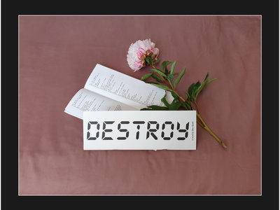 "destroy" a novel by Ben Speth main photo