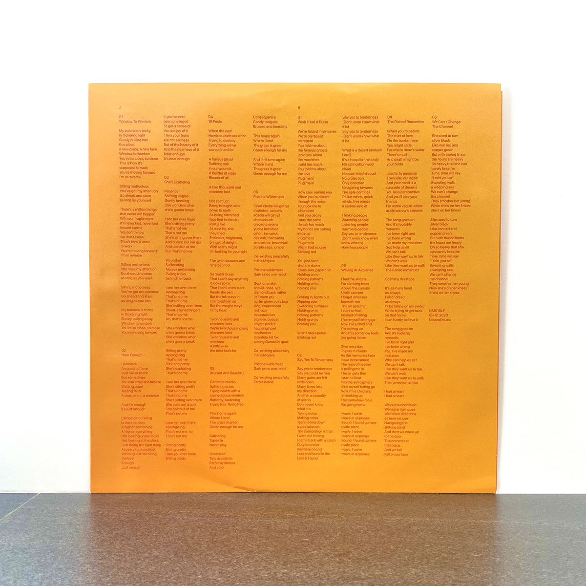 19 Fools Feat Merz Dive Index