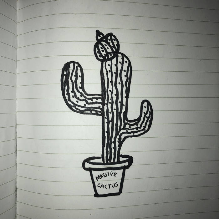Massive Cactus Comp #1: Lofi, Demos & Home Recordings for The Bail Project  | Various Artists | Massive Cactus Records