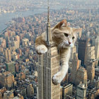 AudioVitaminZ thumbnail