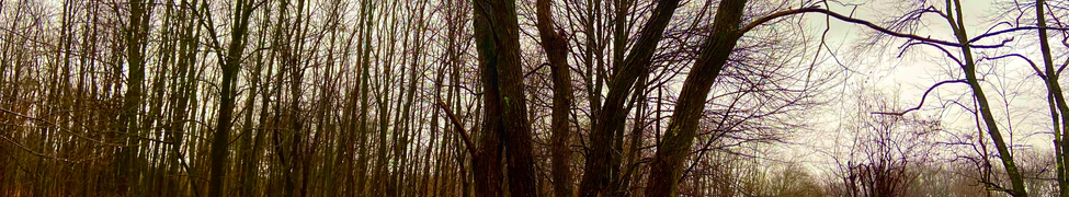 Robes of Snow — Photo