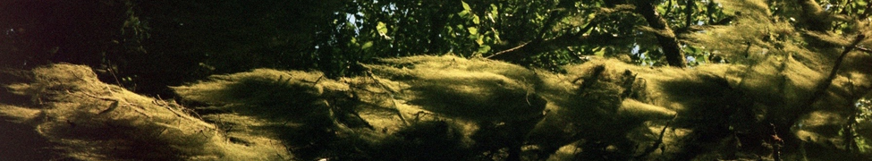 Lena Rich — Photo