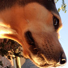 easonhill thumbnail