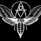 ARMY of MOTHS thumbnail
