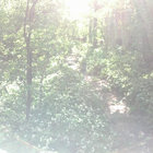 grey gardens thumbnail
