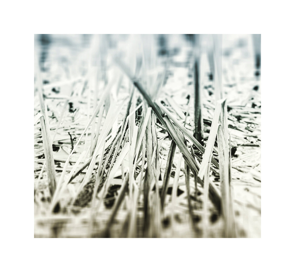 Giclée Print on Fine Art Rag Paper DiN