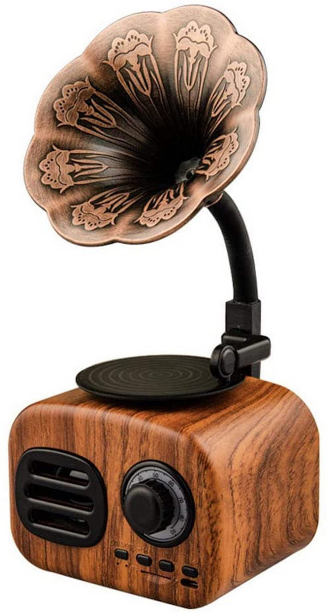 Bluetooth Gramophone Speaker/Radio | Good Co