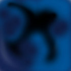 Si-uKs thumbnail