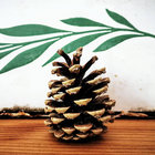 imkeingvelde thumbnail