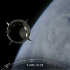 Ferret9026 thumbnail