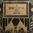 Wild Animals Records thumbnail