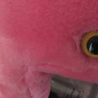 KaliDoom thumbnail