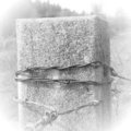 fencepost image