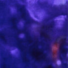 Kianna McNeil thumbnail
