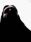 Zil (ظل) image