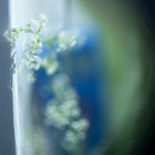 Good Evening | Nite Jewel