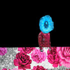 nic chiarella thumbnail