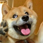 Kiki the pupper thumbnail