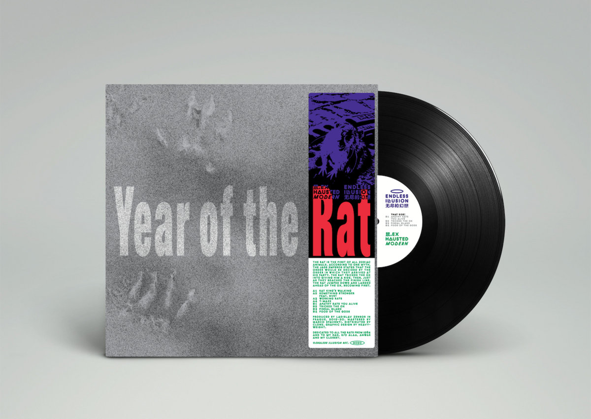 Year of the Rat LP | Exhausted Modern | Endless Illusion