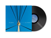 Volem els ponts Vinil