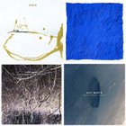 Eraldo Bernocchi/Harold Budd/Robin Guthrie - Winter Garden