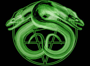 Cover of Murena