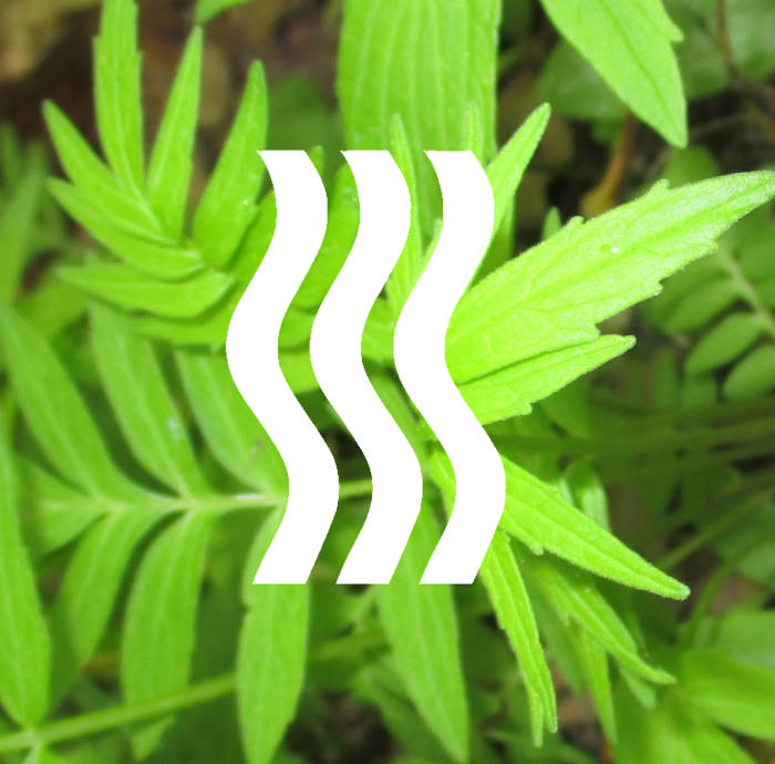 スーパーナチュラルハイ | Super Natural Sound (Feat. SNOVA) | Super