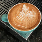 Whole Milk Latte thumbnail