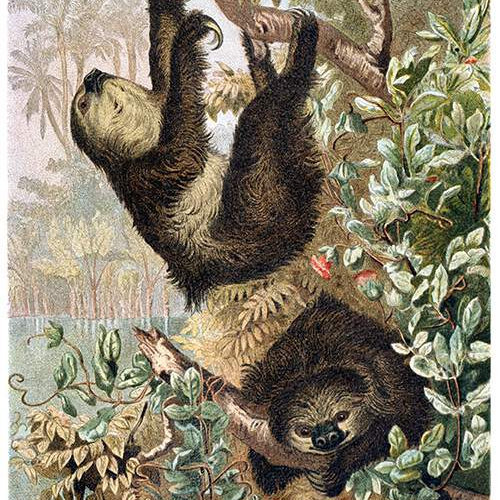 Life Is Spiritual Frank Hurricane And Hurricanes Of Love Crash Symbols life is spiritual frank hurricane and