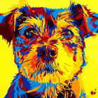 Paul Melvan thumbnail