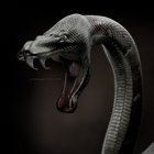 paramatrixx thumbnail