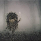 foamborn thumbnail