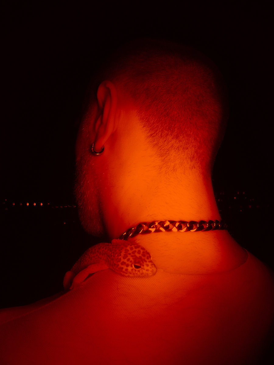 Music | Kingdom