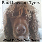 plawsontyers thumbnail