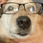 monkcharlie thumbnail